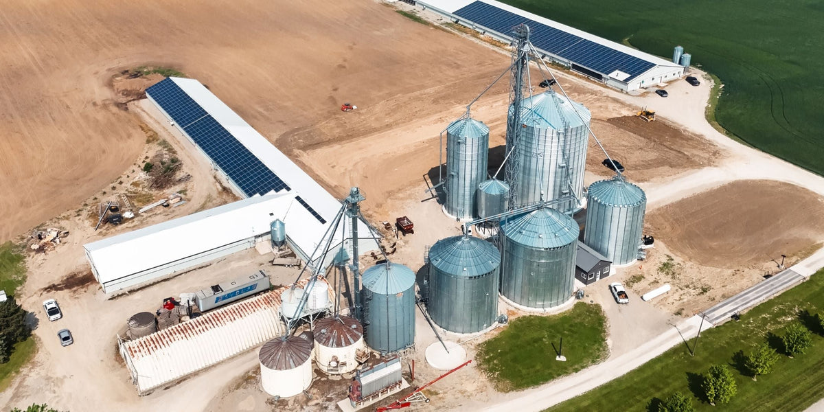 How to Size a Generator for a Chicken Farm: Step-by-Step Calculation