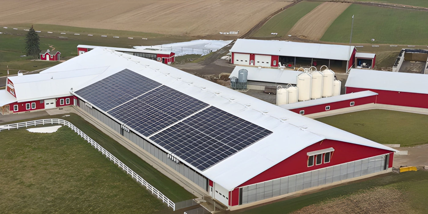 How Net Metered Solar is Transforming Ontario Dairy Farms: A Real Case Study